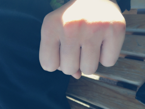 miku×ゼロクリーン