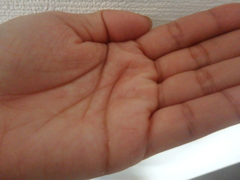 みきてぃ×プロテオグリカン