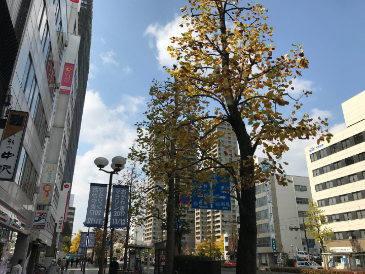 ＠GIRL_ｼｰｽﾘｰ_おまめ