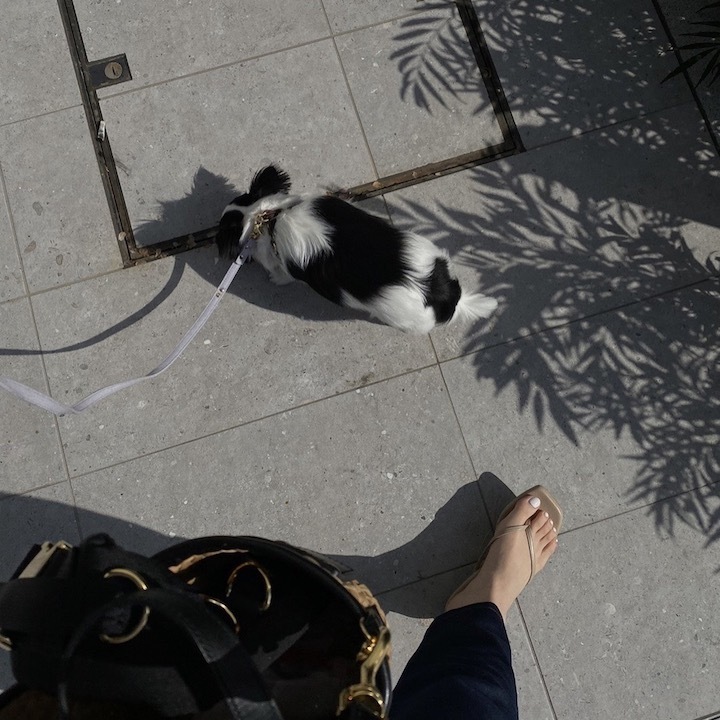 @GIRL_ﾘｴﾃﾞｨ (ReEDIT)_chi-syan