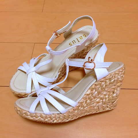 アユ×サルース