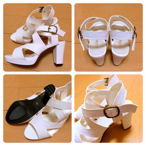 アユ×サルース