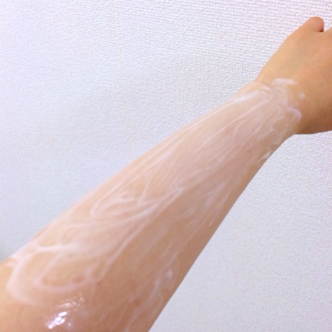 アユ×ゼロクリーン