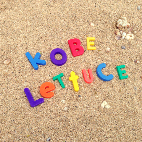 おまめ×神戸レタス