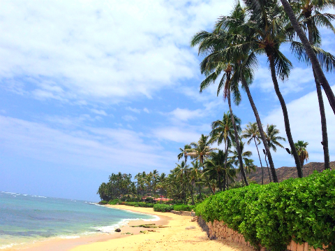 おまめ×神戸レタス