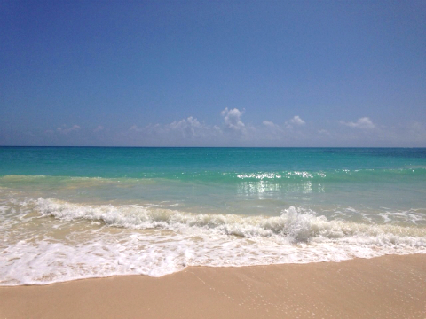 おまめ×神戸レタス