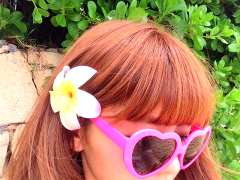 おまめ×神戸レタス