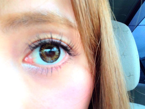 おまめ×プラエク