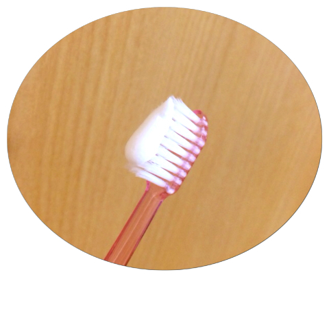 アユ×薬用Pearl White Pro EX