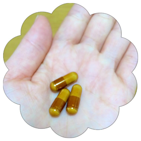 アユ×スルスルこうそ