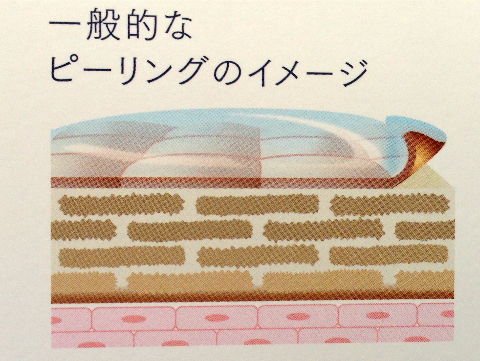 みきてぃ×タカミスキンピール