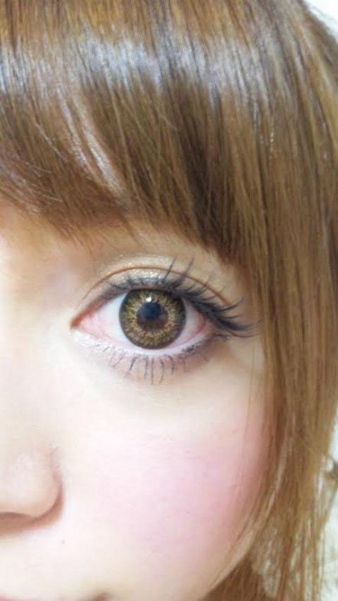 おまめ×プロテオグリカン