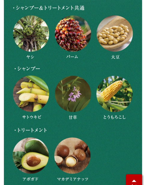 みきてぃ×BOTANIST